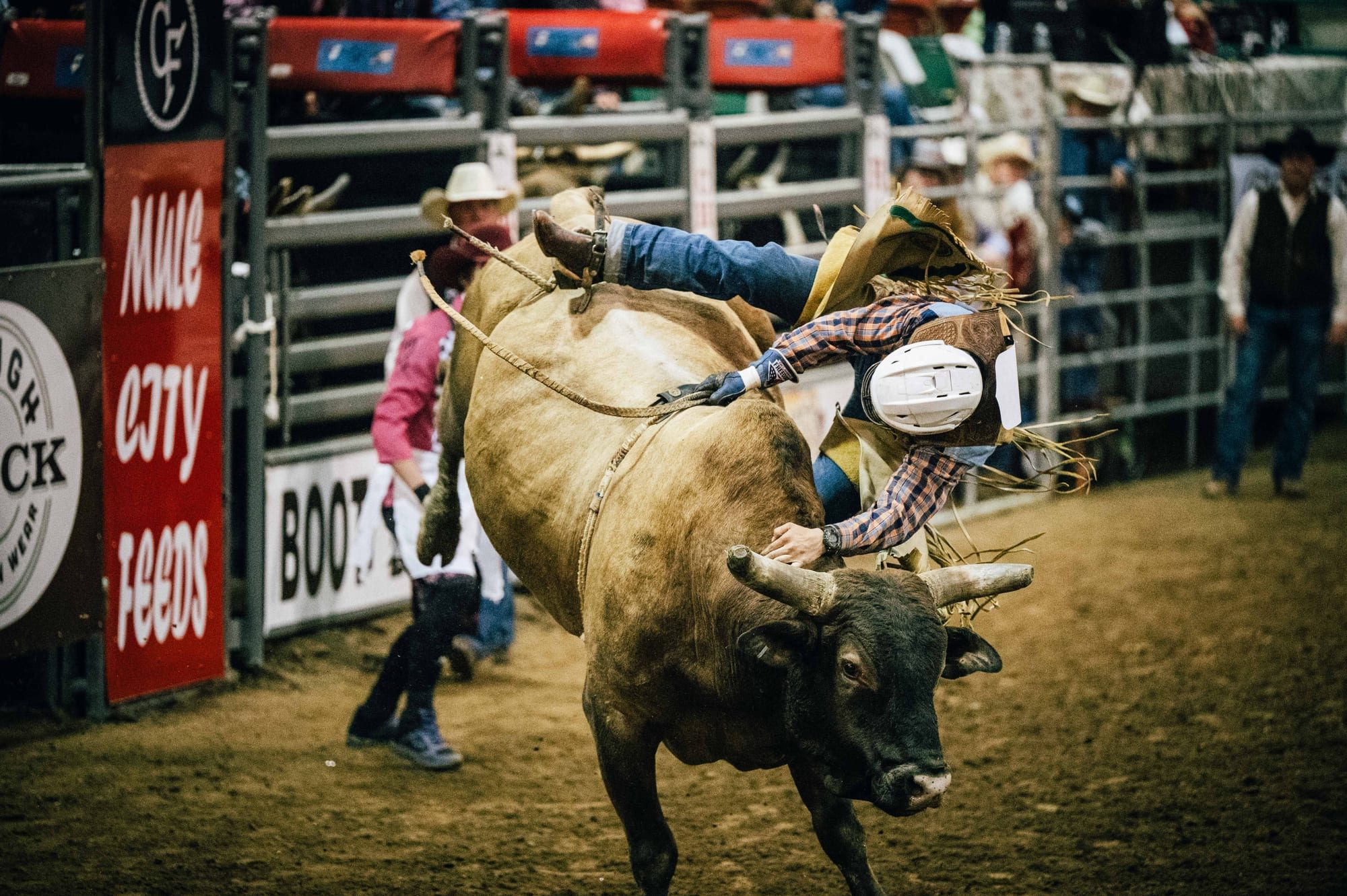 Bullriders Tour — Raleigh — photograph 16
