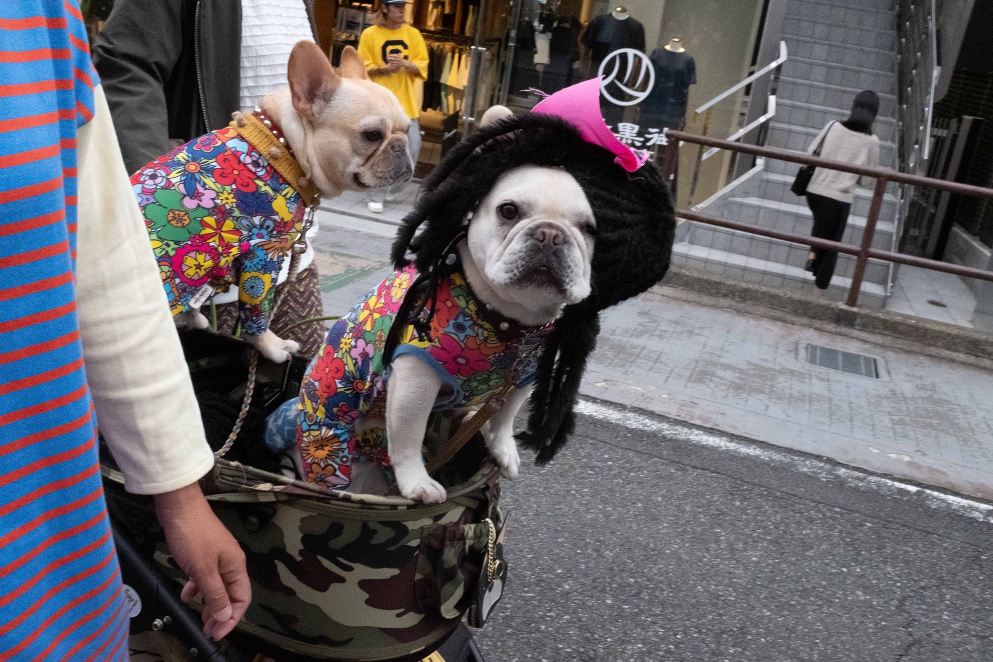 Tokyo — photograph 24