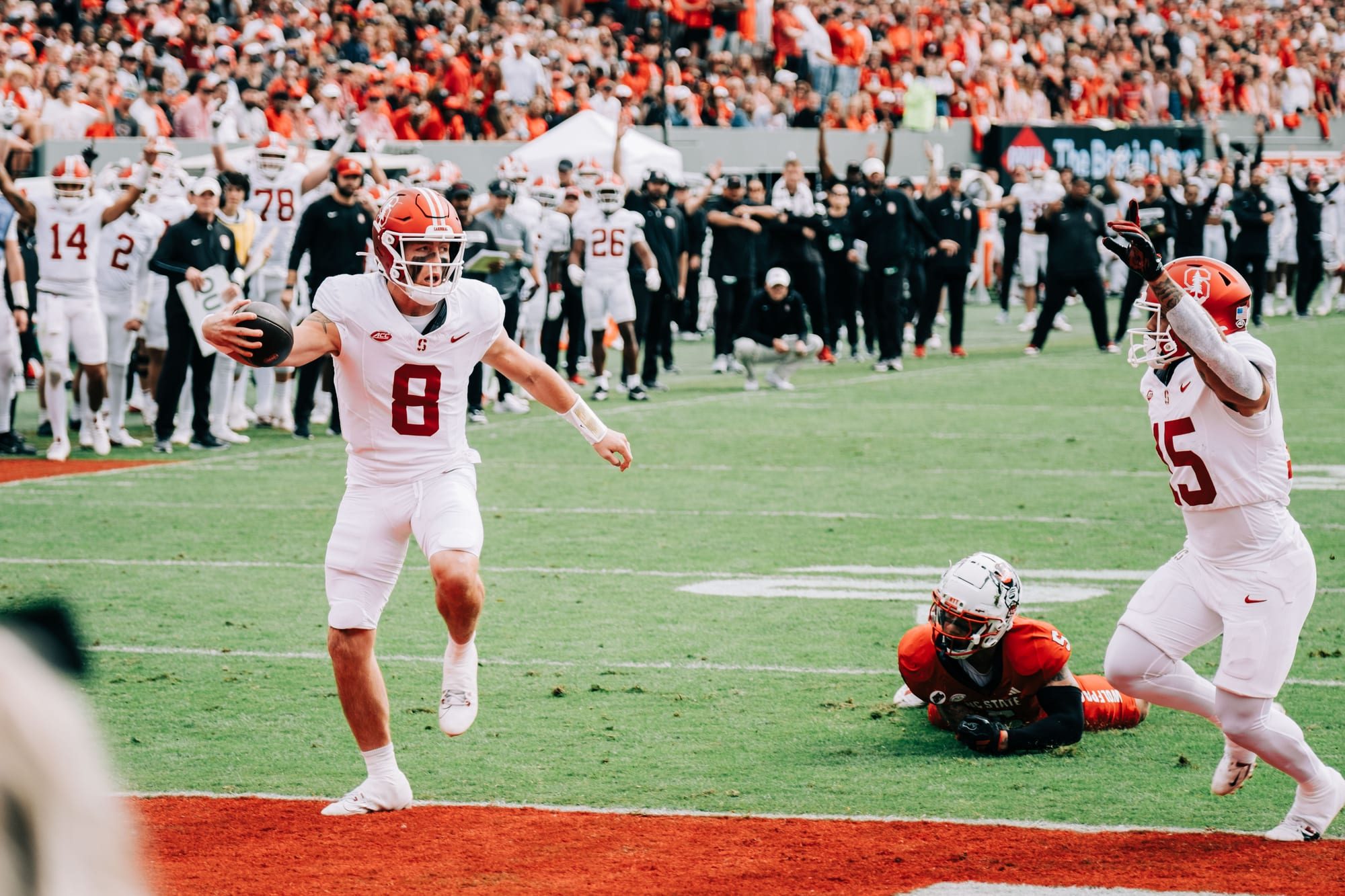 NC State Football — Carter-Finley Stadium — photograph 6