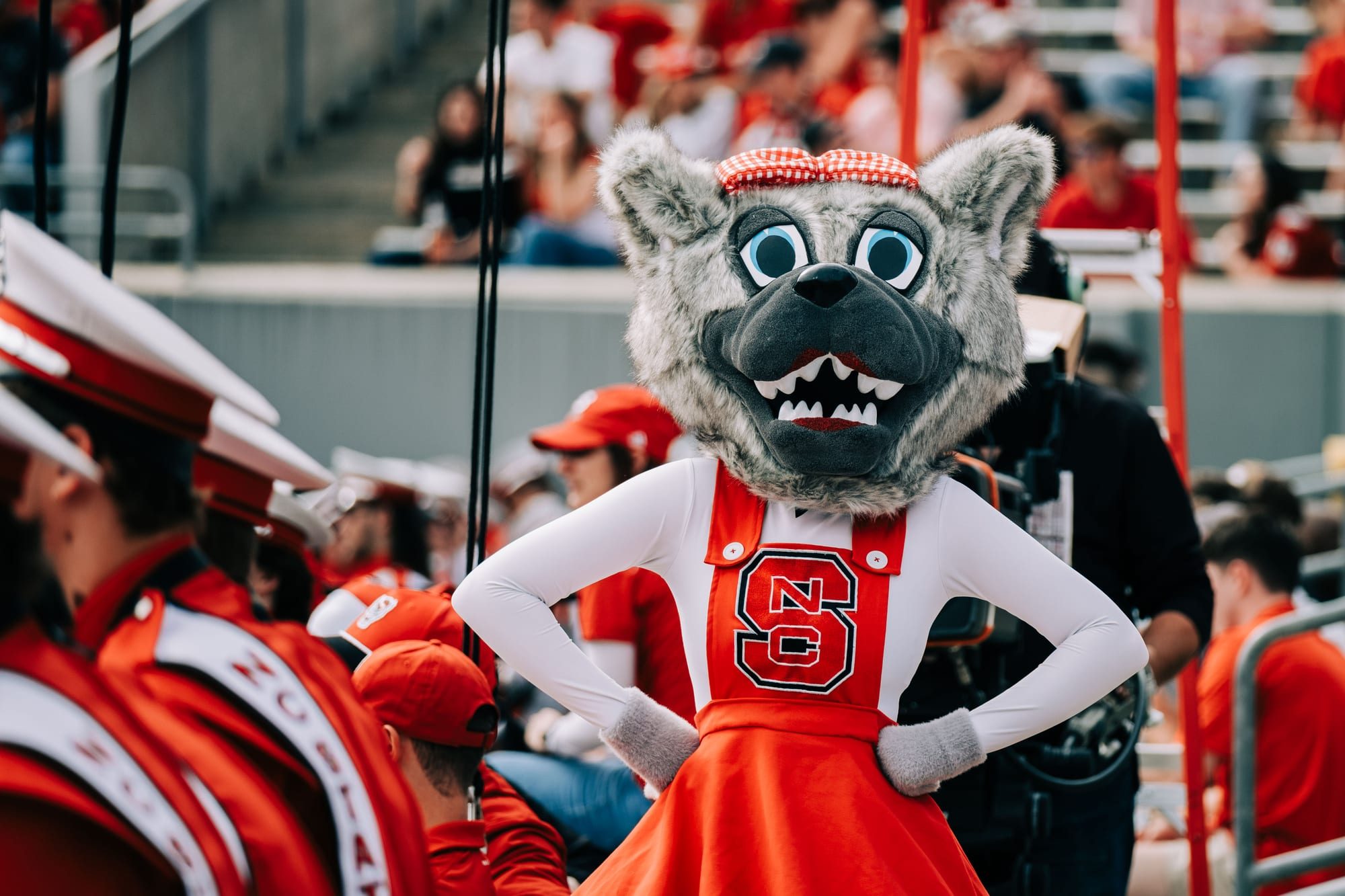 NC State Football — Carter-Finley Stadium — photograph 9
