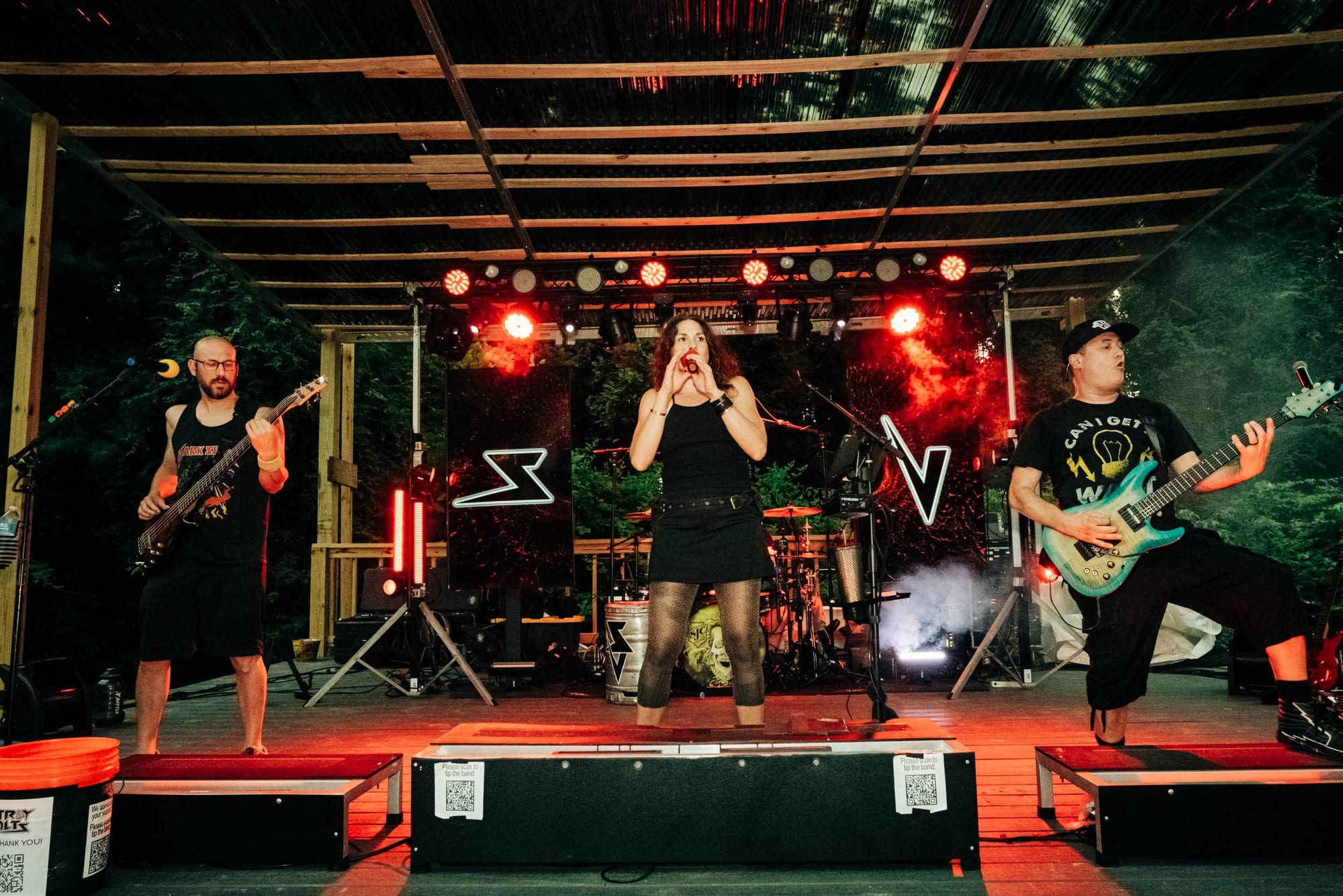 Stray Volts — Backyard Bar — photograph 1